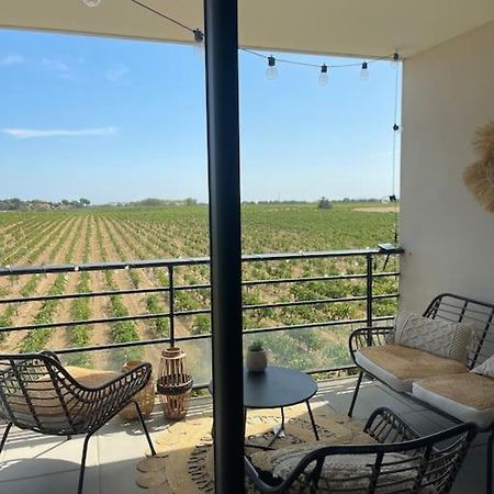Appartement Vue Vigne Perpignan Extérieur photo