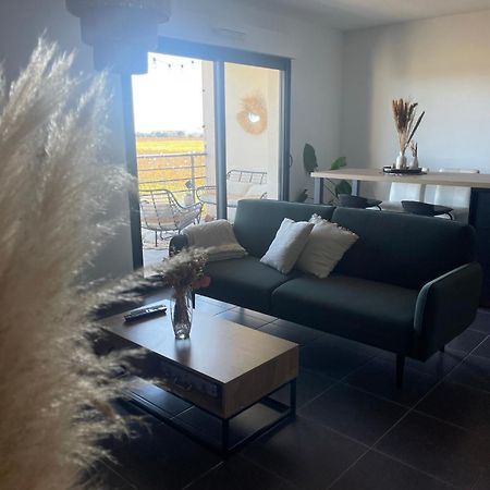 Appartement Vue Vigne Perpignan Extérieur photo