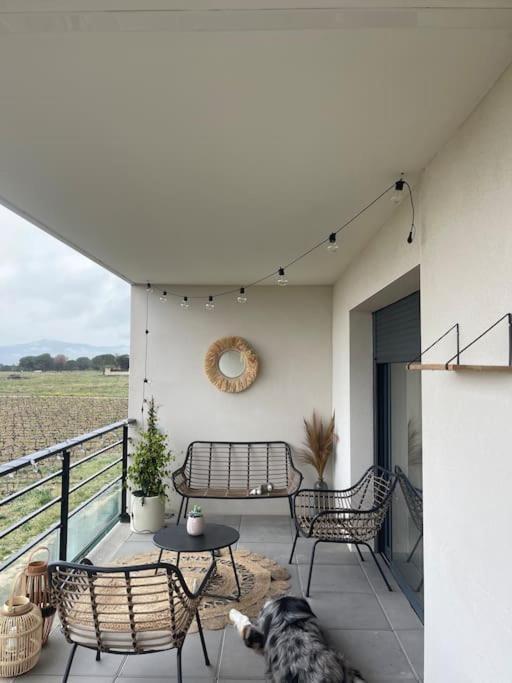 Appartement Vue Vigne Perpignan Extérieur photo