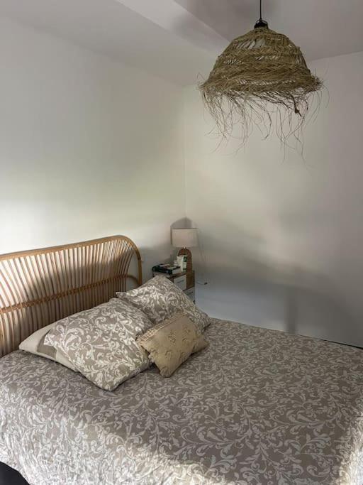 Appartement Vue Vigne Perpignan Extérieur photo