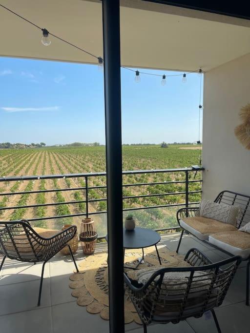 Appartement Vue Vigne Perpignan Extérieur photo
