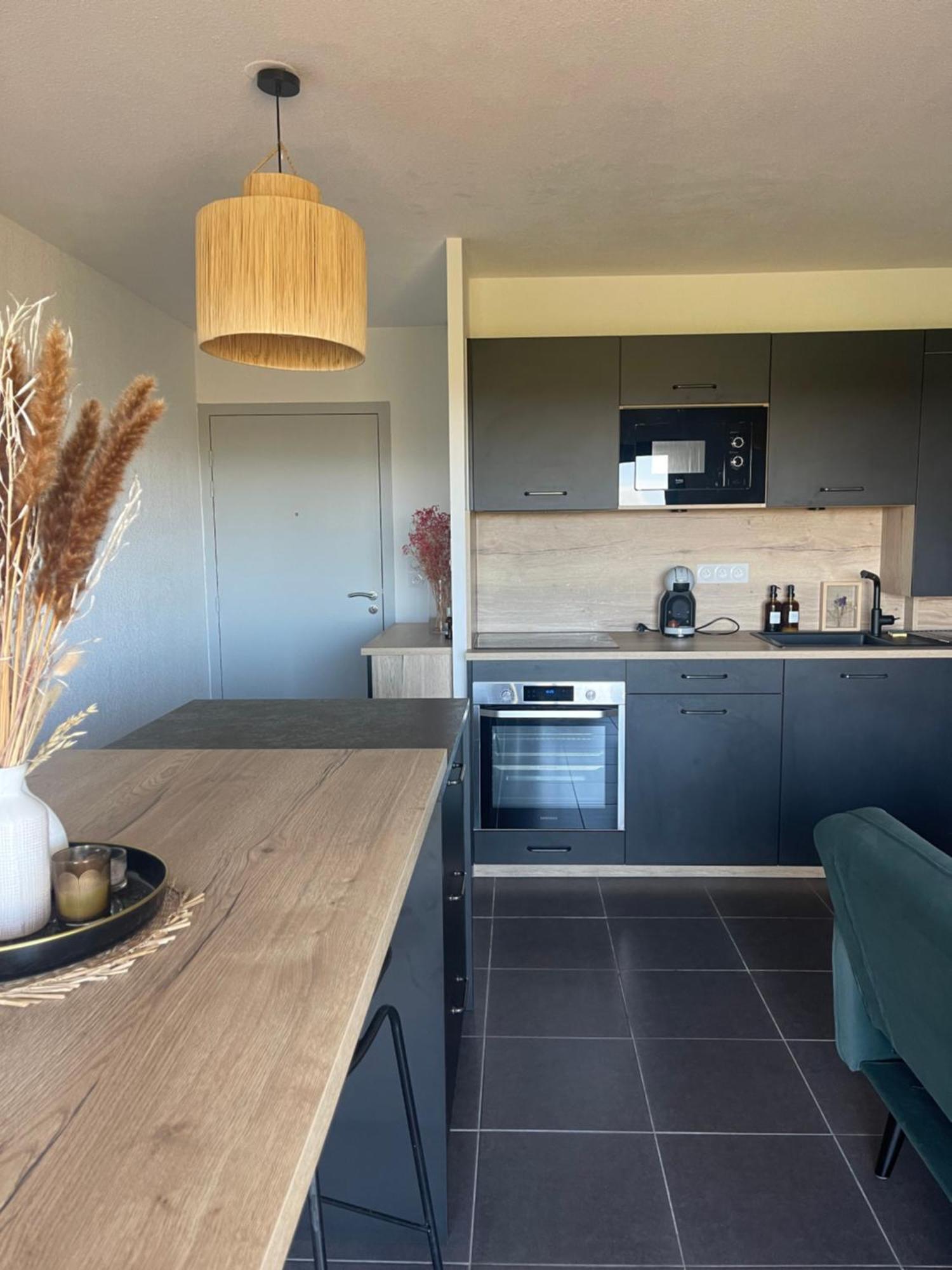 Appartement Vue Vigne Perpignan Extérieur photo