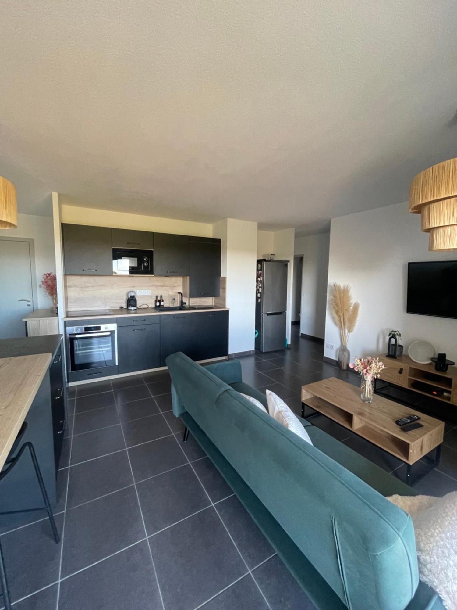 Appartement Vue Vigne Perpignan Extérieur photo